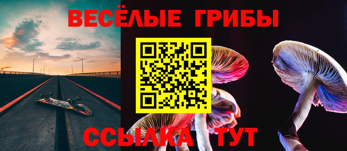 Галлюциногенные грибы Psilocybine cubensis  Вход с VPN  Галлюциногенные грибы мухоморы  Мурманск 