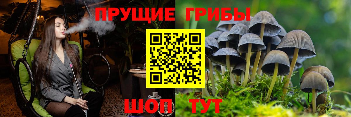Псилоцибиновые грибы Magic Shrooms Мурманск